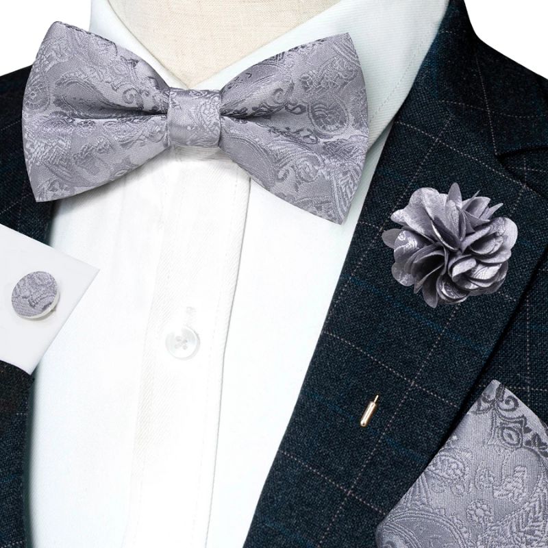 Noeud Papillon Gris Homme