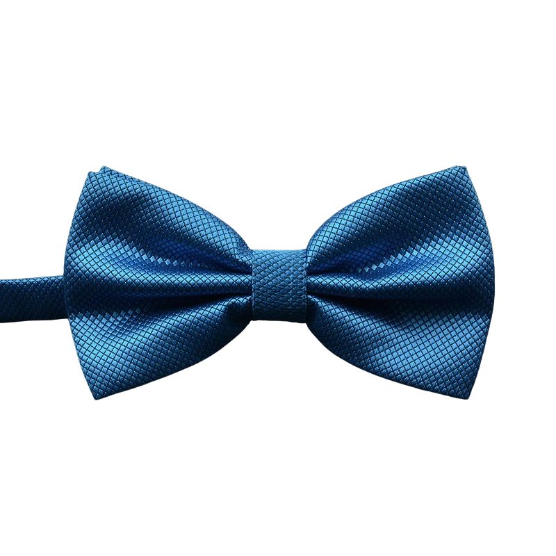 Noeud Papillon Bleu Clair