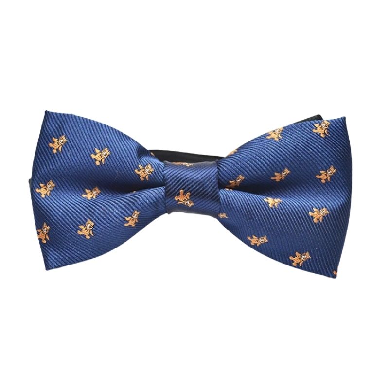 Noeud Papillon Bébé Garçon