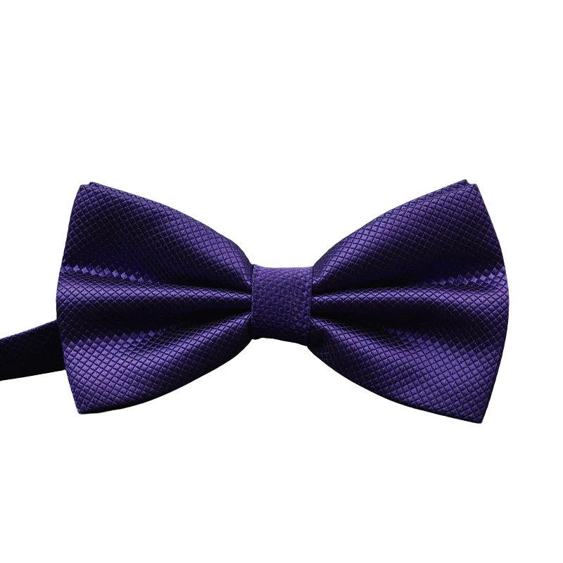 Noeud Papillon Violet Foncé