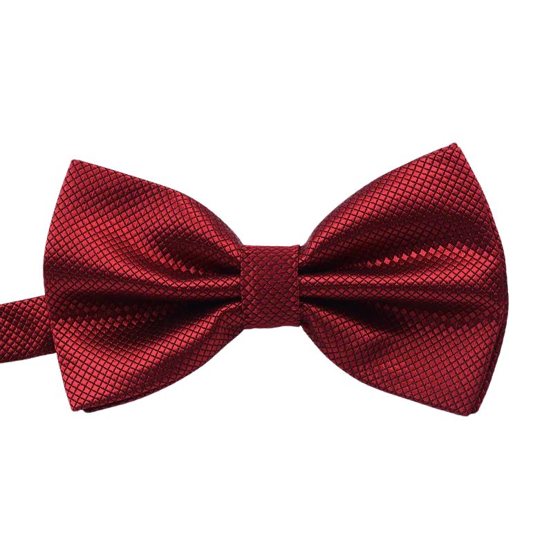 Noeud Papillon Rouge Homme