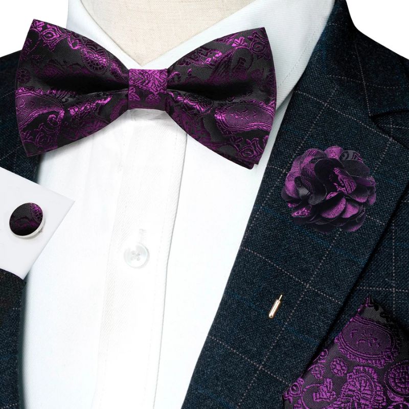 Noeud Papillon Violet Homme