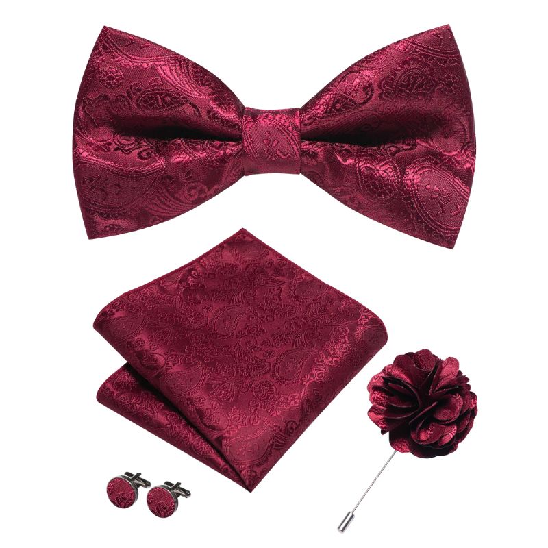 Noeud Papillon Bordeaux | Classique