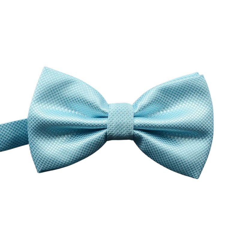 Noeud Papillon Bleu Ciel Homme