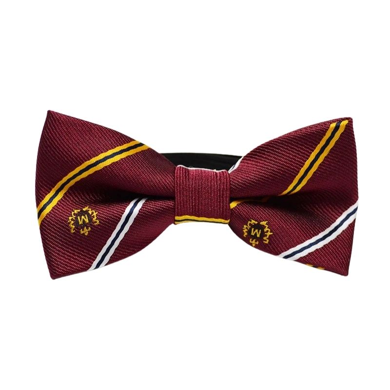 Noeud Papillon Enfant Élégant