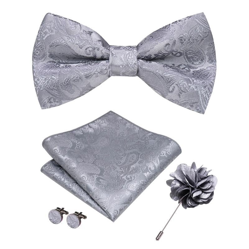 Noeud Papillon Gris Homme