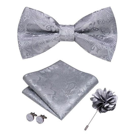 Noeud Papillon Gris Homme