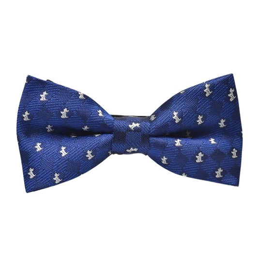 Noeud Papillon Garçon