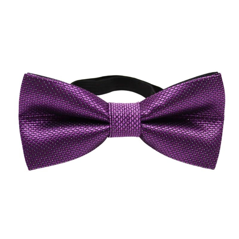 Noeud Papillon Enfant Violet