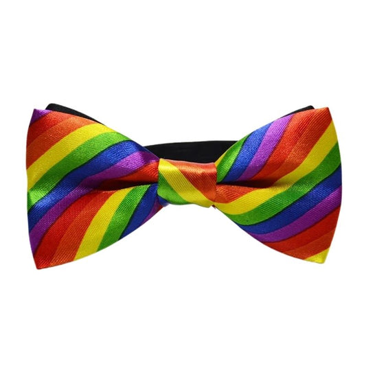 Noeud Papillon Multicolore