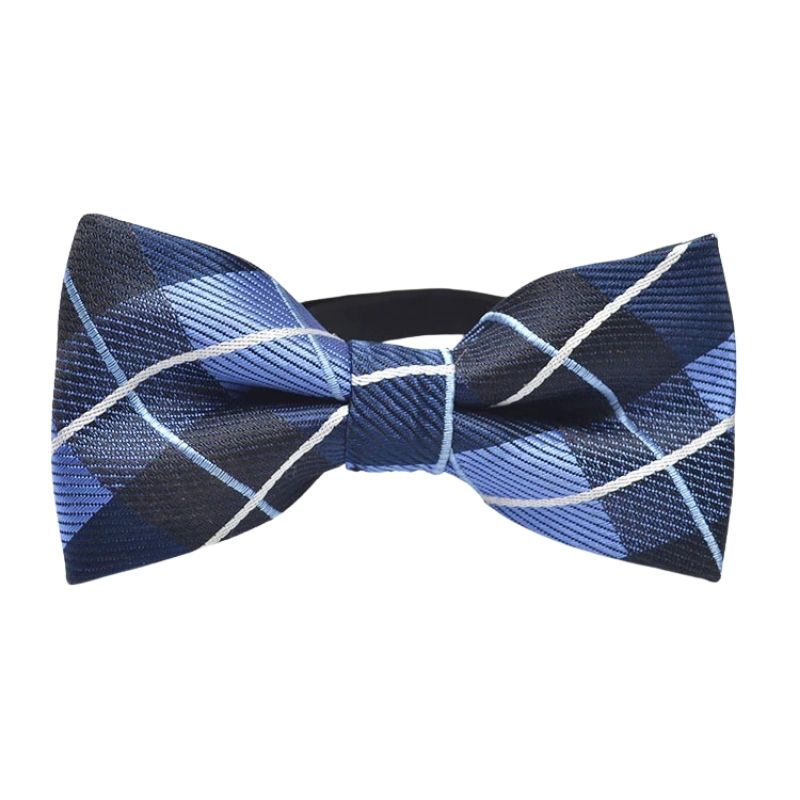 Noeud Papillon Bleu Garçon