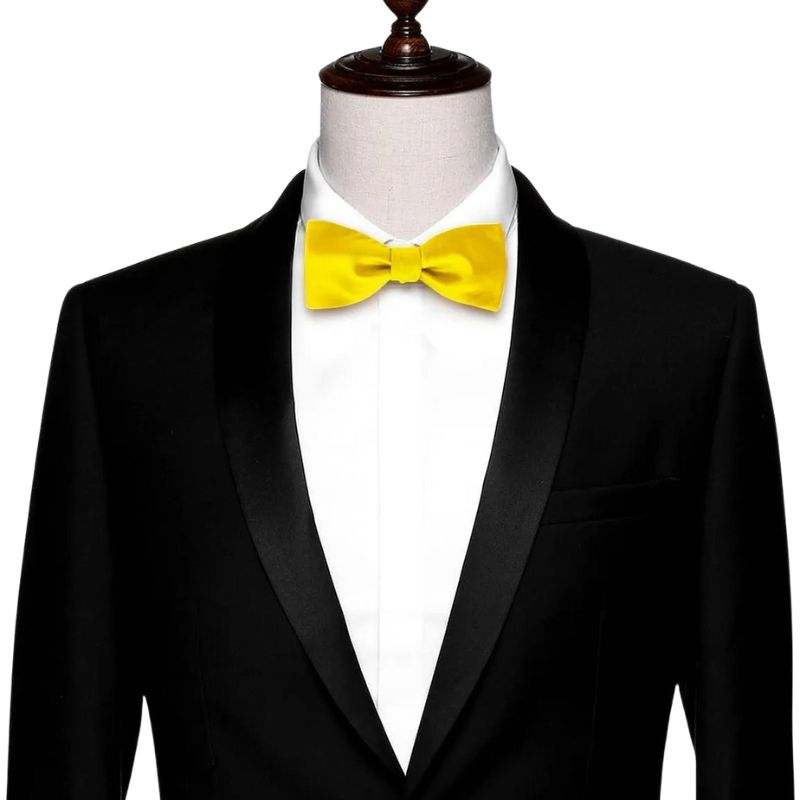 Noeud Papillon à Nouer Soi Même