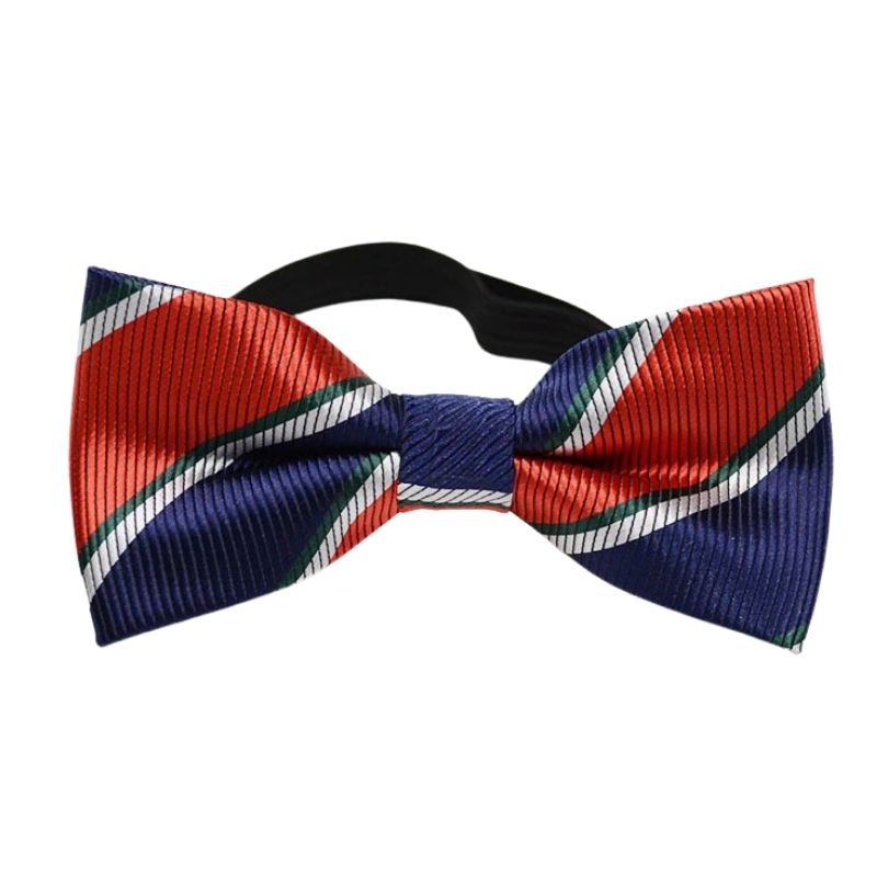 Noeud Papillon Enfant Bleu et Rouge