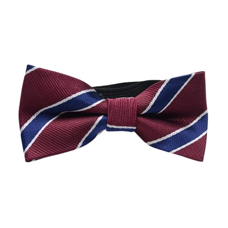 Noeud Papillon Enfant Sobre