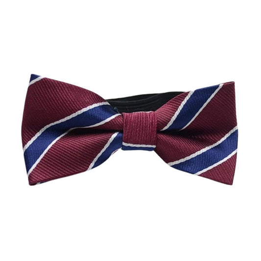 Noeud Papillon Enfant Sobre