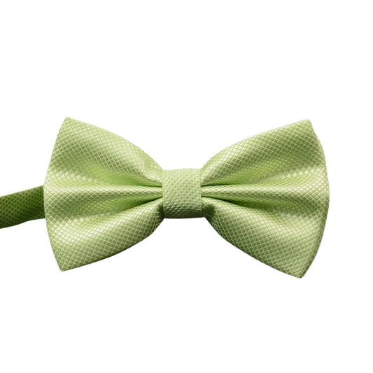 Noeud Papillon Vert Clair